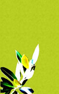 Argot Simpatico Ranch Chardonnay 2022