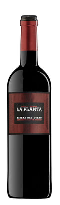 Arzuaga Ribera del Duero La Planta 2023