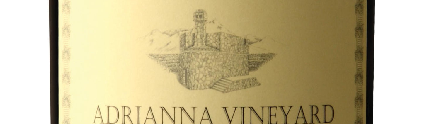 Catena Zapata Adrianna Vineyard Fortuna Terrae Malbec 2022
